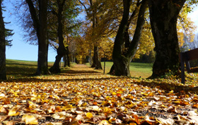 Herbstkur